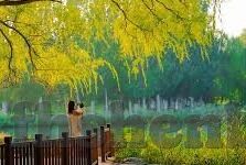 97无码免费人妻超级碰碰碰碰-探索成人娱乐的灰色地带，97无码免费人妻的超级碰碰