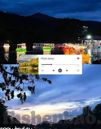 麻豆传媒标志-媒体时代的视觉象征，麻豆传媒标志的深度剖析