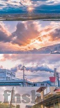 芒果大象回家视频-芒果、大象与回家的奇迹，一则温馨视频的背后故事
