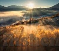青青草成人免费视频在线观看-青青草，成人内容与网络边界的深思