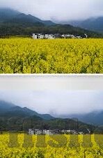 糖心国产传媒vlog入口-掀起面纱，探访糖心国产传媒VLOG的独特魅力