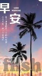 向日葵视频成人app下载-探索向日葵视频，成人娱乐的数字世界