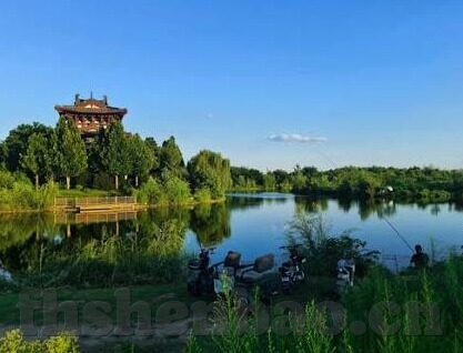 性欧美麻豆视频91-互联网的边界，探索成人内容在数字时代的争议与影响